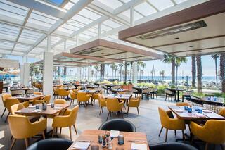 Modern restaurant with bright decor, featuring large windows, palm trees outside, and cozy seating arranged for dining with a view.