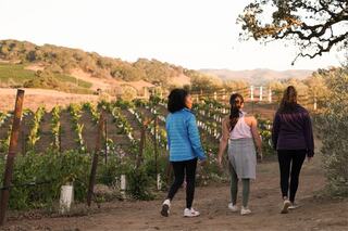 Three women stroll along a dirt path through a vineyard, surrounded by rolling hills and lush grapevines under a warm evening light.