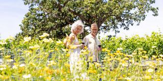 A happy couple strolls through a vibrant field of wildflowers, enjoying each other’s company amidst lush green vineyards.