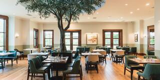 A stylish restaurant features green furnishings, natural light from large windows, and a central tree, creating a welcoming ambiance.