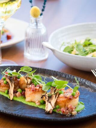 A beautifully plated dish features seared scallops topped with microgreens and garnishes, served on a vibrant green puree.