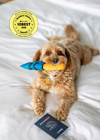 A playful dog holds a toy fish in its mouth, lying on a bed with a passport and an award sticker nearby.