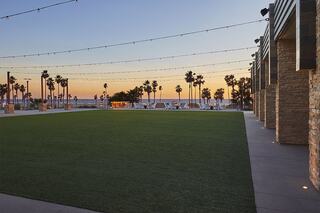A vibrant sunset casts warm hues over a grassy area lined with palm trees, leading to a serene ocean view. String lights add ambiance.