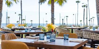 Stylish outdoor dining area with palm trees and a sea view, featuring modern tables, comfortable seating, and colorful decor.