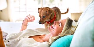 A woman joyfully interacts with a small brown dog, both enjoying a cozy moment together on a bright, comfortable couch.