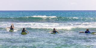 Four surfers wait on their boards, poised in the water as gentle waves roll in under a clear blue sky.