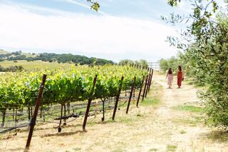 Two women stroll along a path in a vineyard, surrounded by lush grapevines and rolling hills under a clear blue sky.