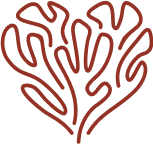 A stylized heart shape formed by intricate, curving lines, creating a fluid and organic appearance in a warm reddish hue.