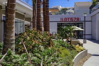 A modern outdoor space features palm trees, vibrant plants, and a stylish building with a red sign reading "LOT 579."