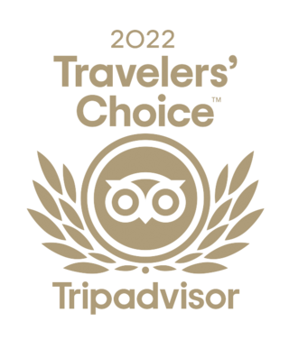 2022 Travelers' Choice award from Tripadvisor features a stylized owl and laurel leaves, signifying excellence in travel experiences.