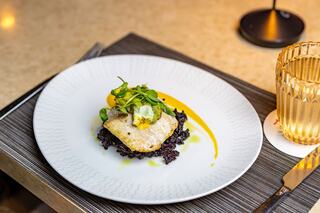 A beautifully plated dish features a piece of fish atop black rice, garnished with fresh greens and a swirl of yellow sauce.