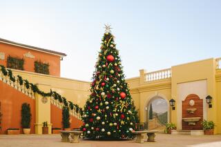 A beautifully decorated Christmas tree adorned with colorful ornaments stands in a festive courtyard with elegant architecture.