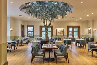 A stylish restaurant features a central olive tree, wooden flooring, and elegantly set tables with blue-green chairs, creating a cozy ambiance.