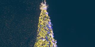 A beautifully decorated Christmas tree glows with yellow and blue lights, crowned with a star, surrounded by shimmering snowflakes.