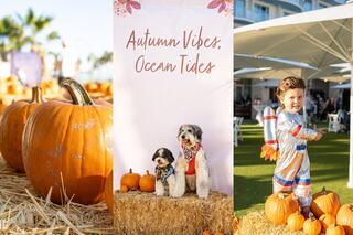 A festive autumn scene features pumpkins, a sign saying "Autumn Vibes, Ocean Tides," and a child playfully standing on hay bales.