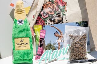 A plush champagne bottle, snack packets, a photo of a dancer, and a bag of treats are arranged alongside a floral tote and a pen.