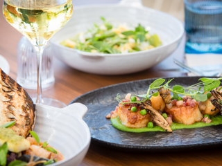 Plated gourmet dishes featuring seafood and greens, accompanied by a glass of white wine and a refreshing salad in a stylish setting.
