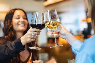 Two women joyfully toast with glasses of red and white wine, sharing a moment of celebration in a lively setting.