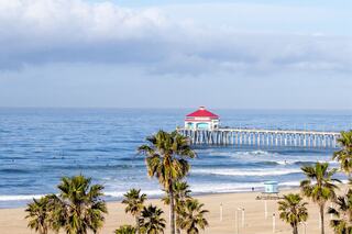 A vibrant shoreline with palm trees, waves gently lapping the sand, and a red-roofed pier extending into the serene ocean.