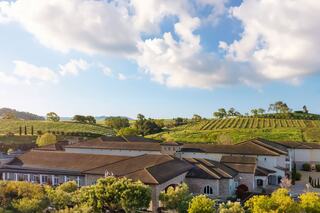 A picturesque winery nestled among rolling hills, lush vineyards, and a bright blue sky, showcasing natural beauty and tranquility.