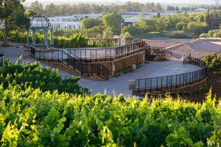A scenic vineyard features lush green vines, elegant terraces, and a gazebo, surrounded by serene landscapes and a clear sky.