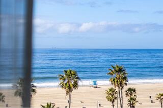 A serene beach scene features palm trees framing a calm ocean under a clear blue sky, with a lifeguard tower in the distance.